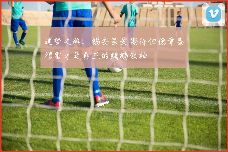 追梦之路：锡安虽受期待但德章泰穆雷才是真正的鹈鹕领袖