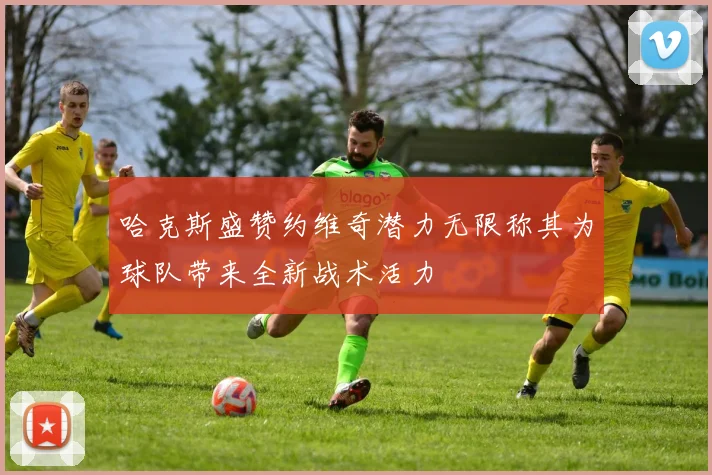 哈克斯盛赞约维奇潜力无限称其为球队带来全新战术活力